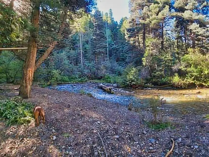 102. Cuchillo Del Medio Boondocking