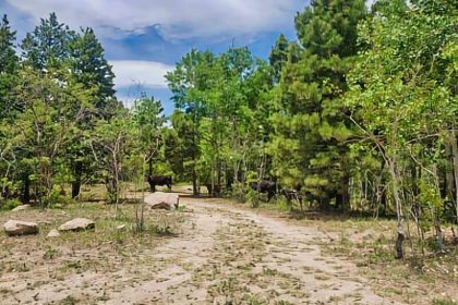 109. Hot Rock Road Jemez Springs NM boondocking location 109. Hot Rock Road Jemez Springs NM boondocking location