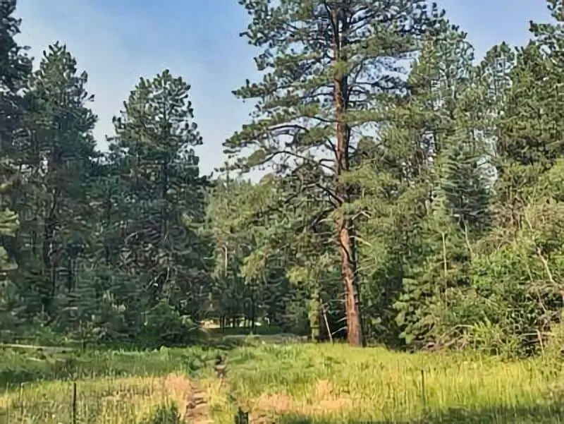 16. Aspen Basin Boondocking3