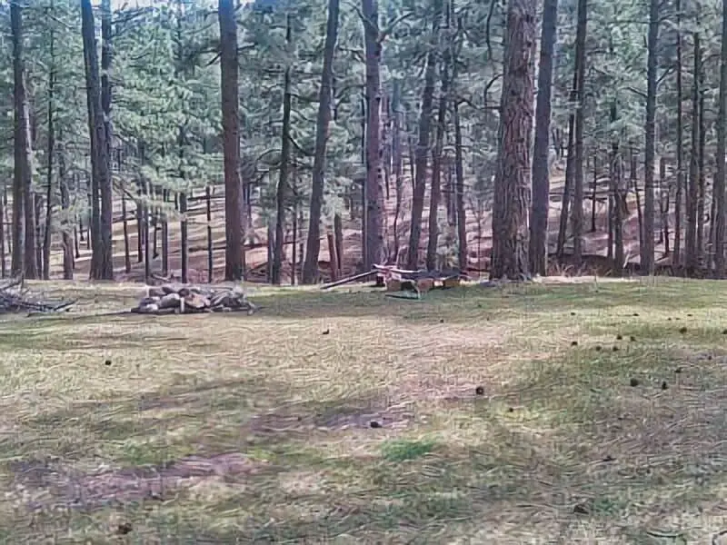 2. Free 16 Springs Canyon NM Boondocking Location