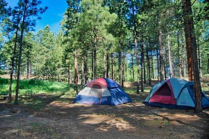 197. Links Tract Campsite Pecos NM Boondocking Location 197. Links Tract Campsite Pecos NM Boondocking Location