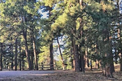 215. Fort Wingate McGaffey Campground 215. Fort Wingate McGaffey Campground