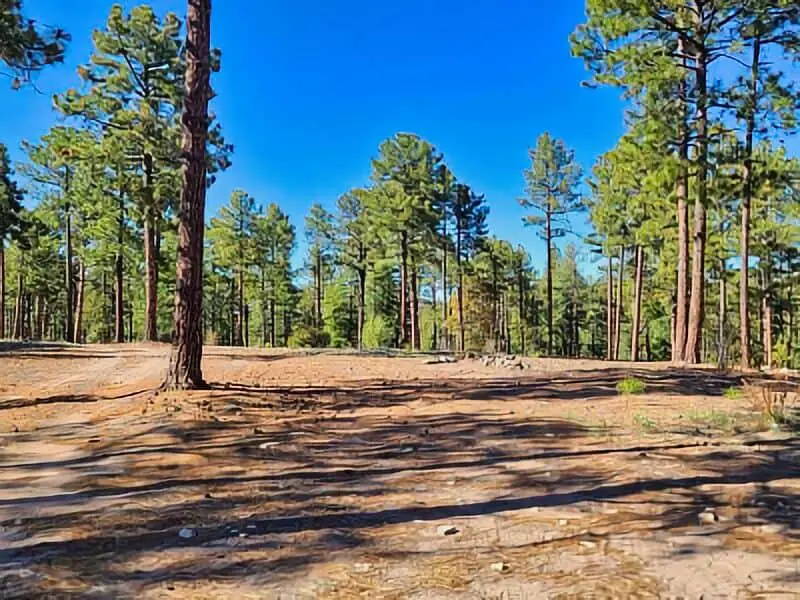 217. Silver City Meadow Creek Rd Boondocking