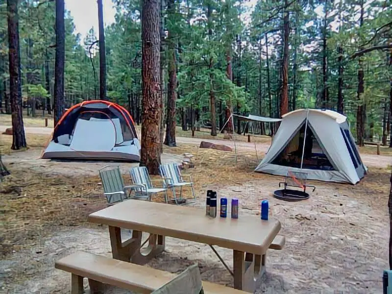 234. Thoreau Ojo Redondo Campground Boondocking
