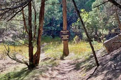 24. Bear Canyon Boondocking 24. Free Bear Canyon NM Boondocking Location