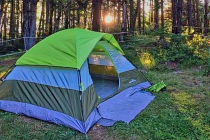 24. McClellan Park Millbridge Campground PAID McClellan Park Millbridge Campground