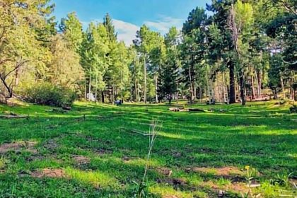 27. Benson Ridge 27. Free Benson Ridge NM Boondocking Location