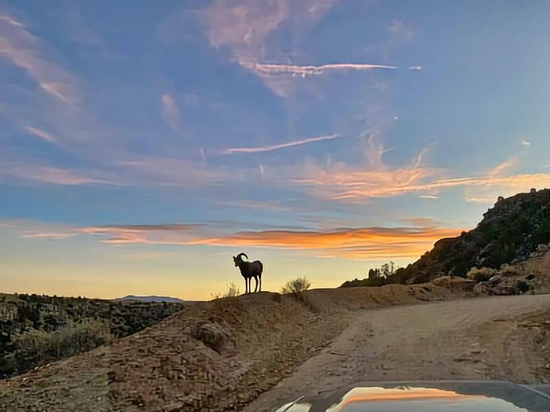 273. Arroyo Hondo Rio Grande Overlook Boondocking