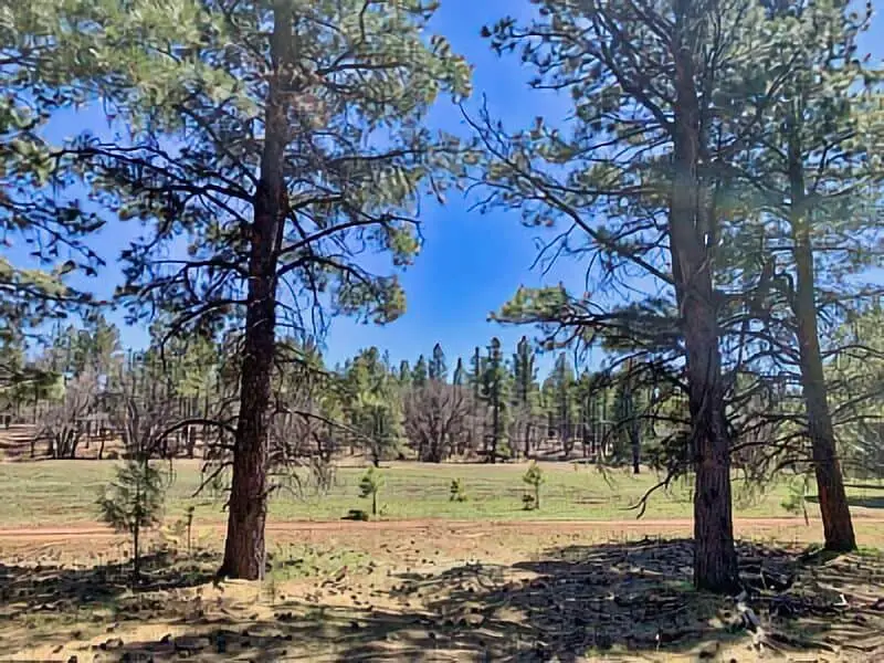 3. Fort Wingate NM Boondocking Location