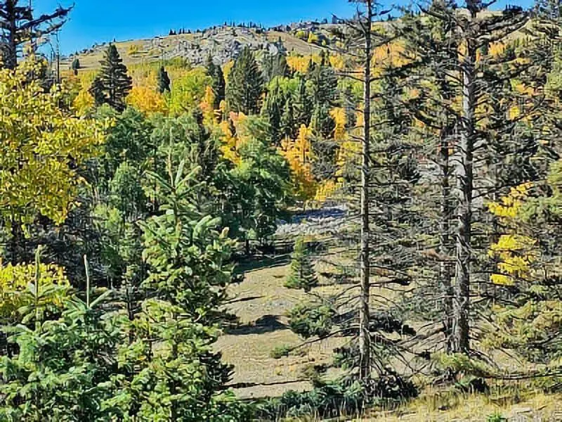 314. Tres Piedras Boondocking