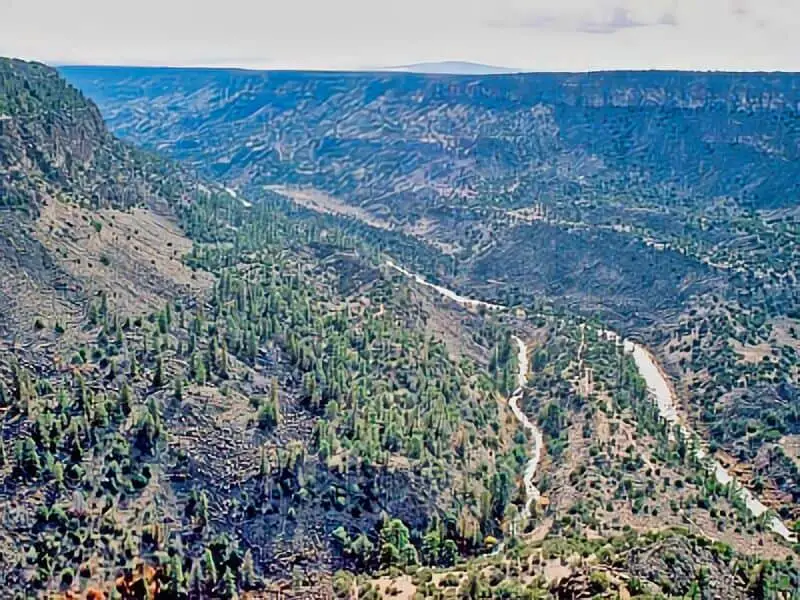 330. Wild Rivers Recreation Area Campground