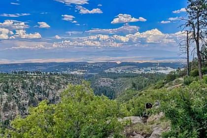 Camp May Road Campsite Jemez Springs NM boondocking location