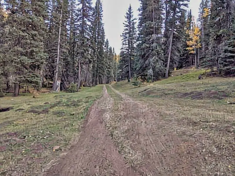 71. Carson National Forest Boondocking 2