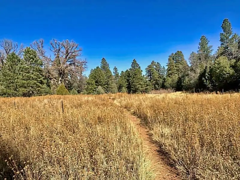 94. Fort Wingate Boondocking
