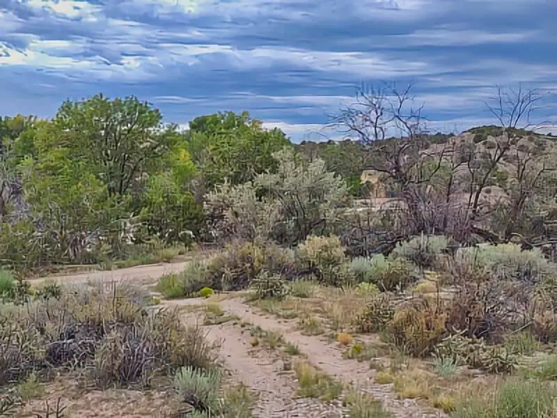 98. Velarde Area Boondocking
