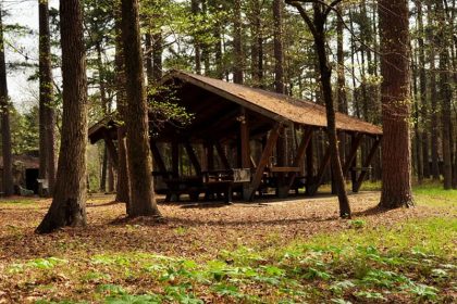 Bayou Bluff Bayou Bluff - Arkansas Boondocking Site