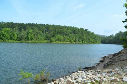 Big Fir Big Fir Boondocking Campsite