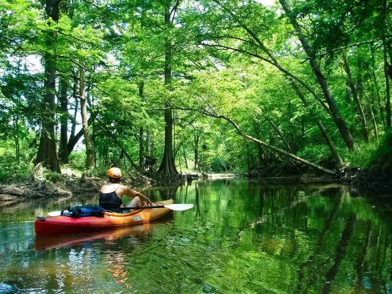 Fourche Mountain Recreation Area - Arkansas Dispersed Site