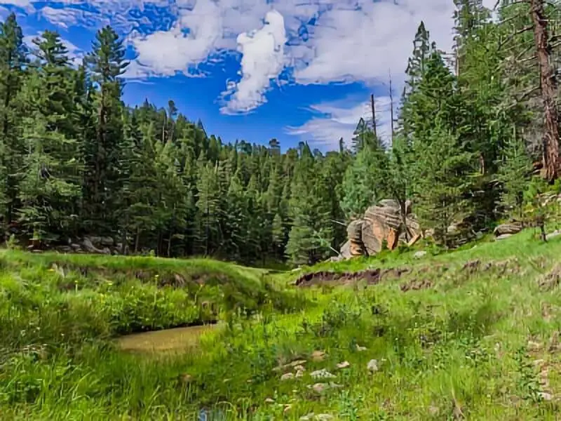 100. Coconino NF 9125F Boondocking