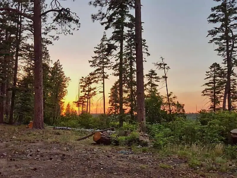 103. Colcord Ridge Boondocking