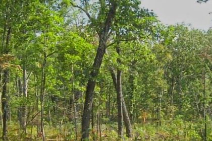 105. Little Indian Creek Conservation Area – PERMIT 105. Little Indian Creek Conservation Area - PERMIT