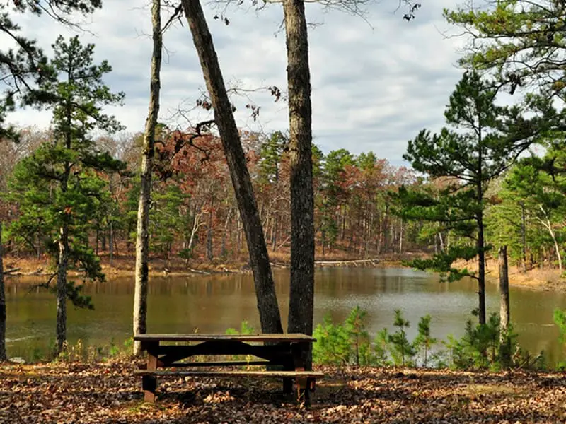 115. Scotia Pond Boondocking