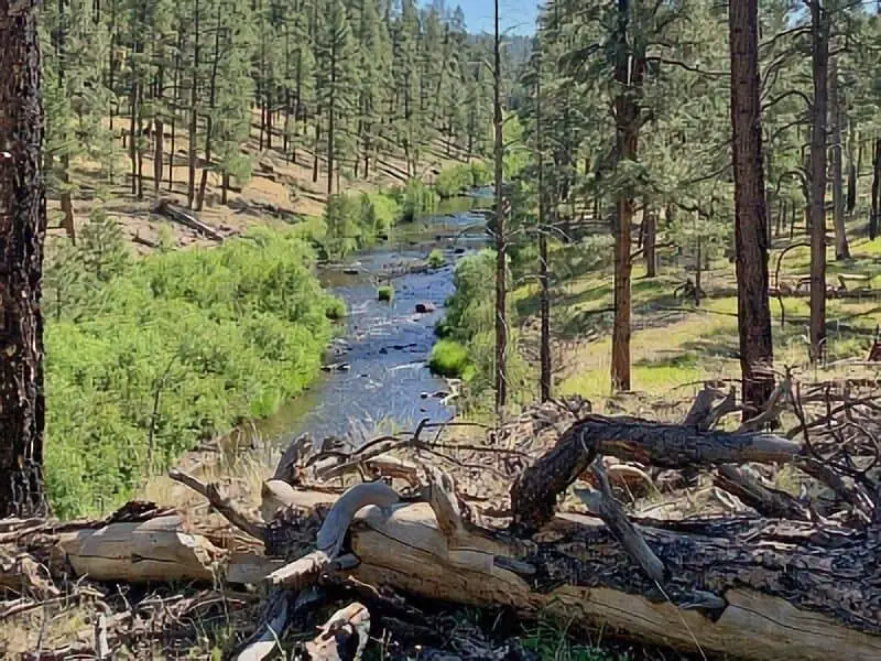 131. Diamond Creek Junction - Apache Tribe Campground