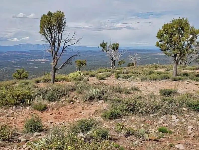 132. Diamond Point Dispersed - Payson Boondocking