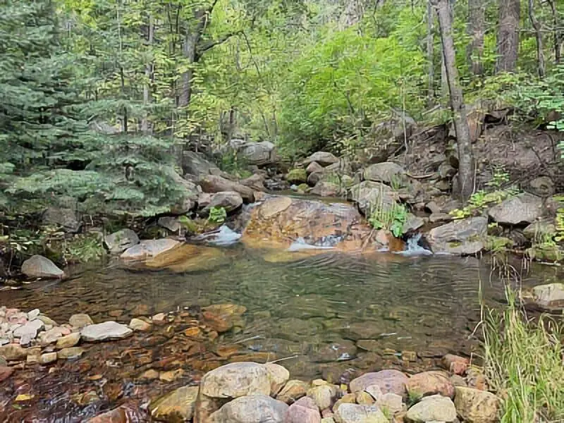 135. Dispersed Camping - NF Rd. 375B - Payson