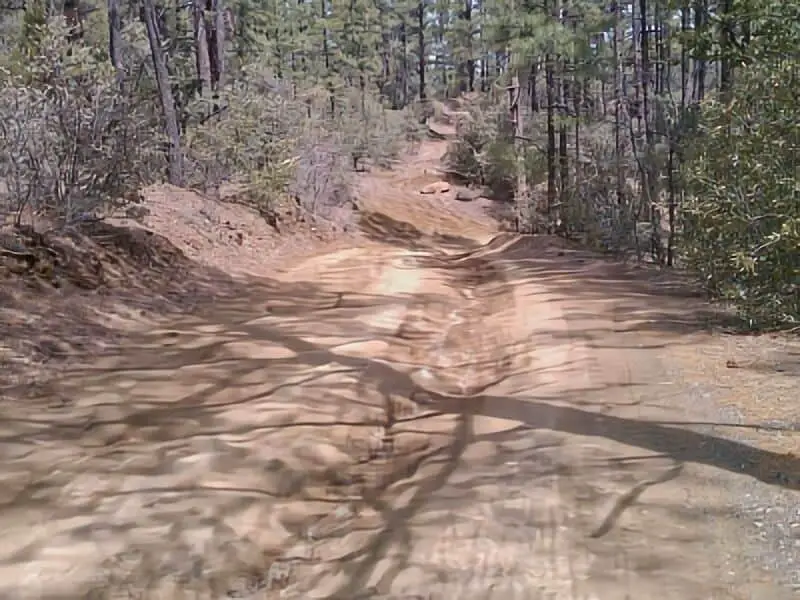157. Enchanted Forest Trail Boondocking