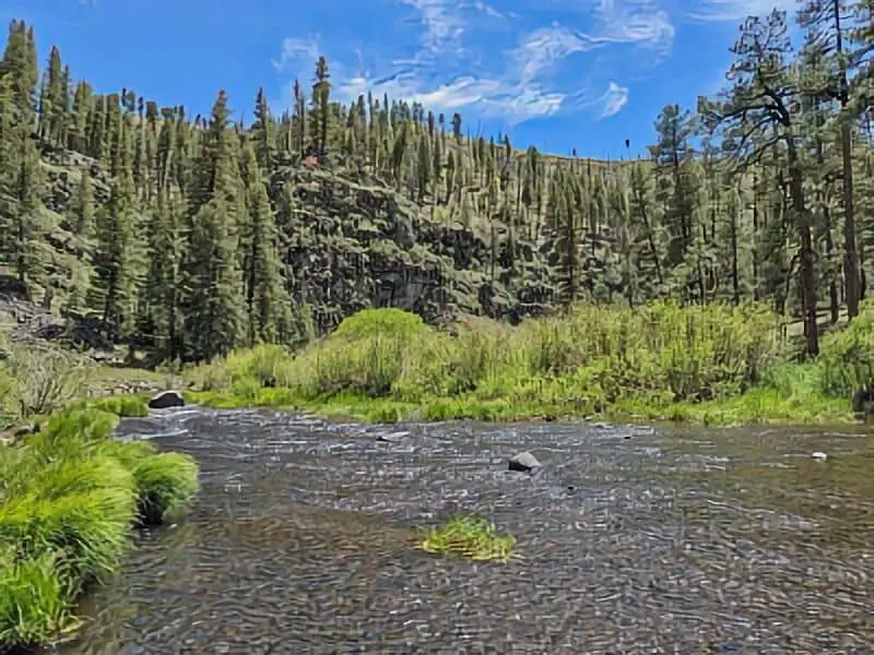 16. Alchesay Springs - Whiteriver Campground