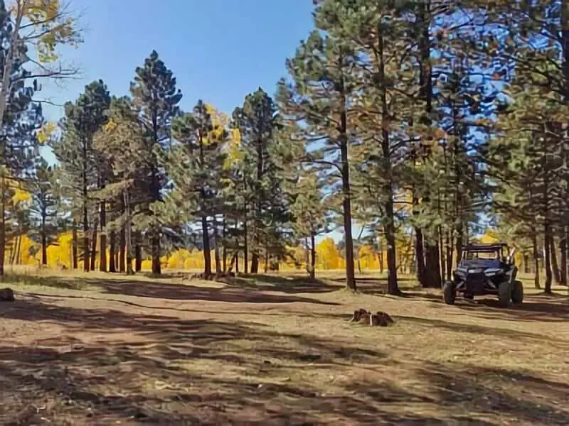 160. Fire Road 794 - Flagstaff Boondocking