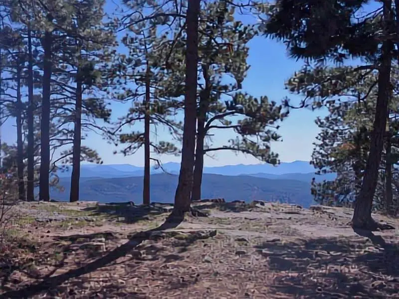 161. FR 9350 Apache Sitgreaves NF Boondocking