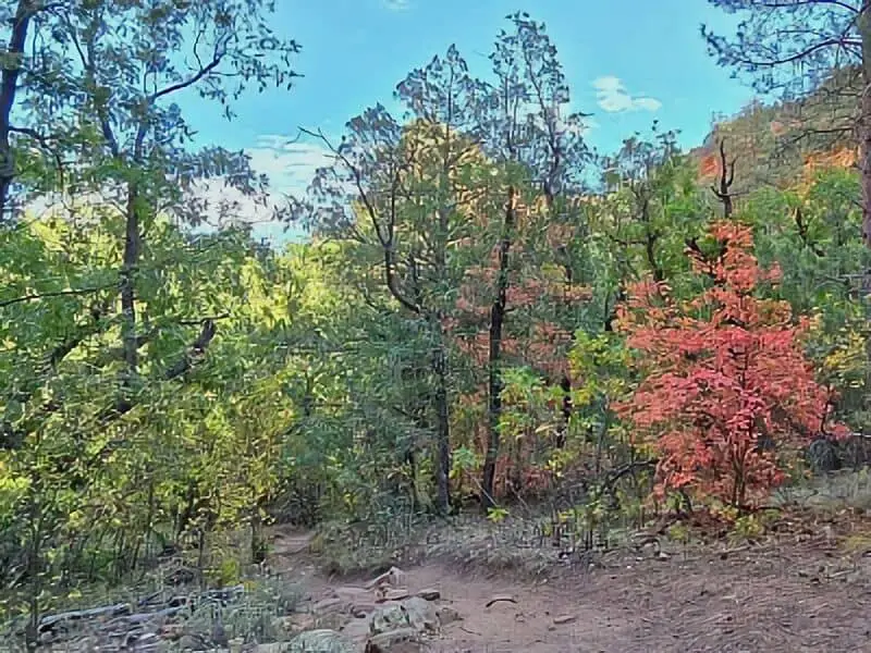 165. Forest Road 171 - Payson Boondocking