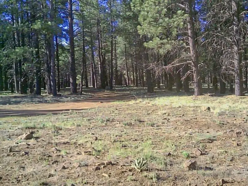 180. FR 245 - Flagstaff Boondocking
