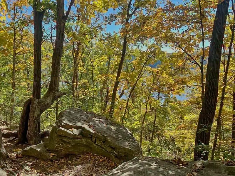 180. Viney Creek Campground