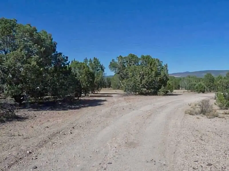 185. FR 930 Prescott NF Boondocking