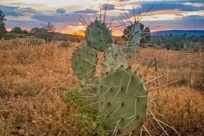 188. FR525 & 525C – Sedona Boondocking 188. FR525 & 525C - Sedona Boondocking