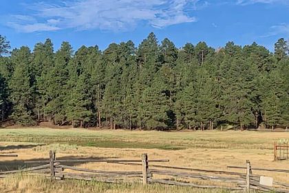 193. FS Road 222 – Flagstaff Boondocking 193. FS Road 222 - Flagstaff Boondocking
