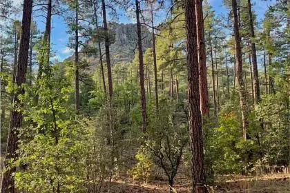 198. FSR 522 Site 6 – Flagstaff Boondocking 198. FSR 522 Site 6 - Flagstaff Boondocking