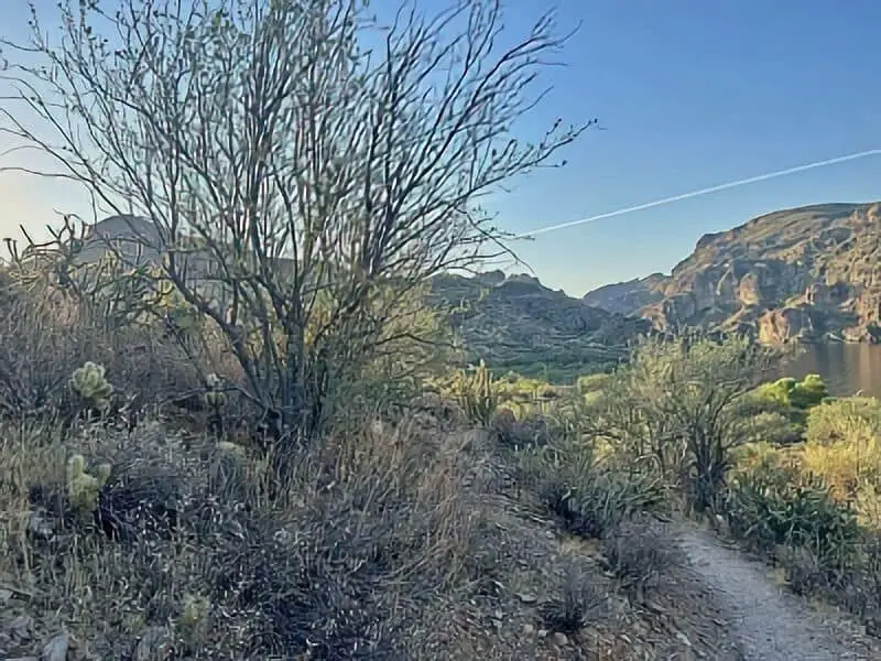 223. Havasu Road - Arizona Boondocking