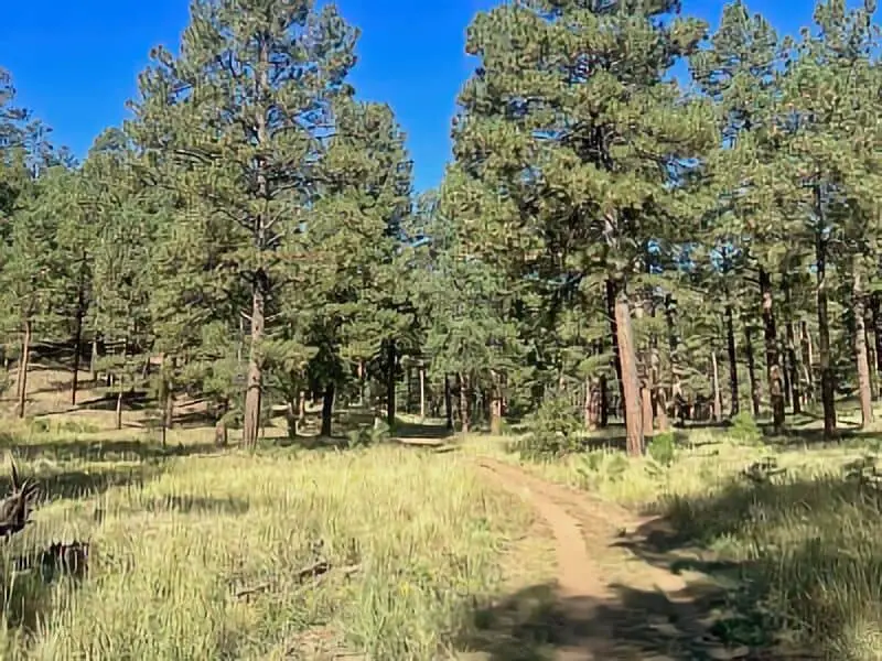 229. Hog Canyon Overlook - Arizona Boondocking
