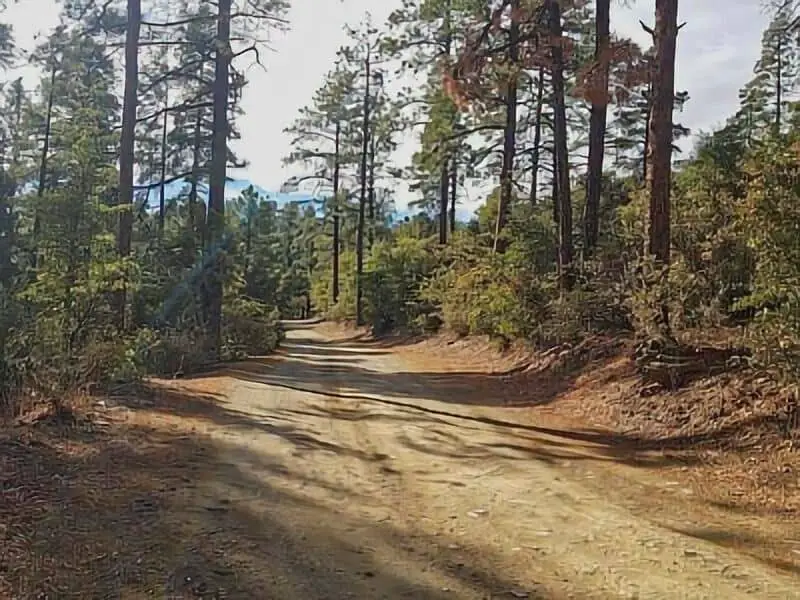 29. Bannie Mine - Prescott Boondocking