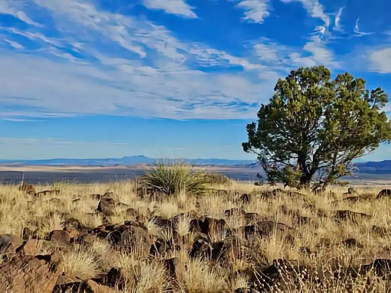 75. Camping Near Cherry - Prescott Valley Boondocking