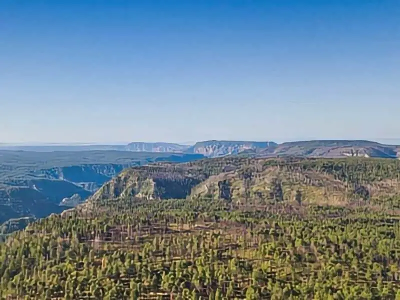 97. Coconino Forest Road 535 Boondocking