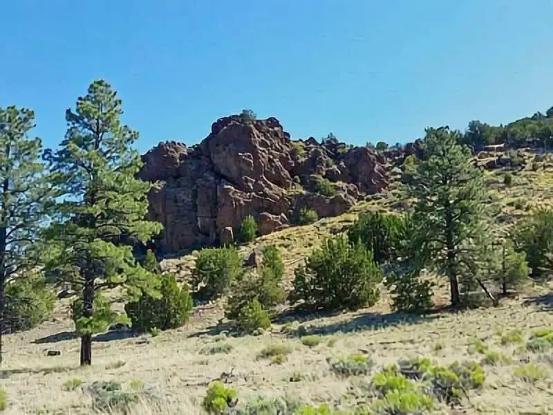98. Coconino Forest Road 545B Boondocking