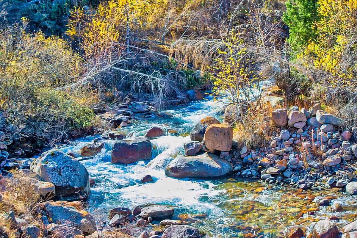 Carson National Forest
