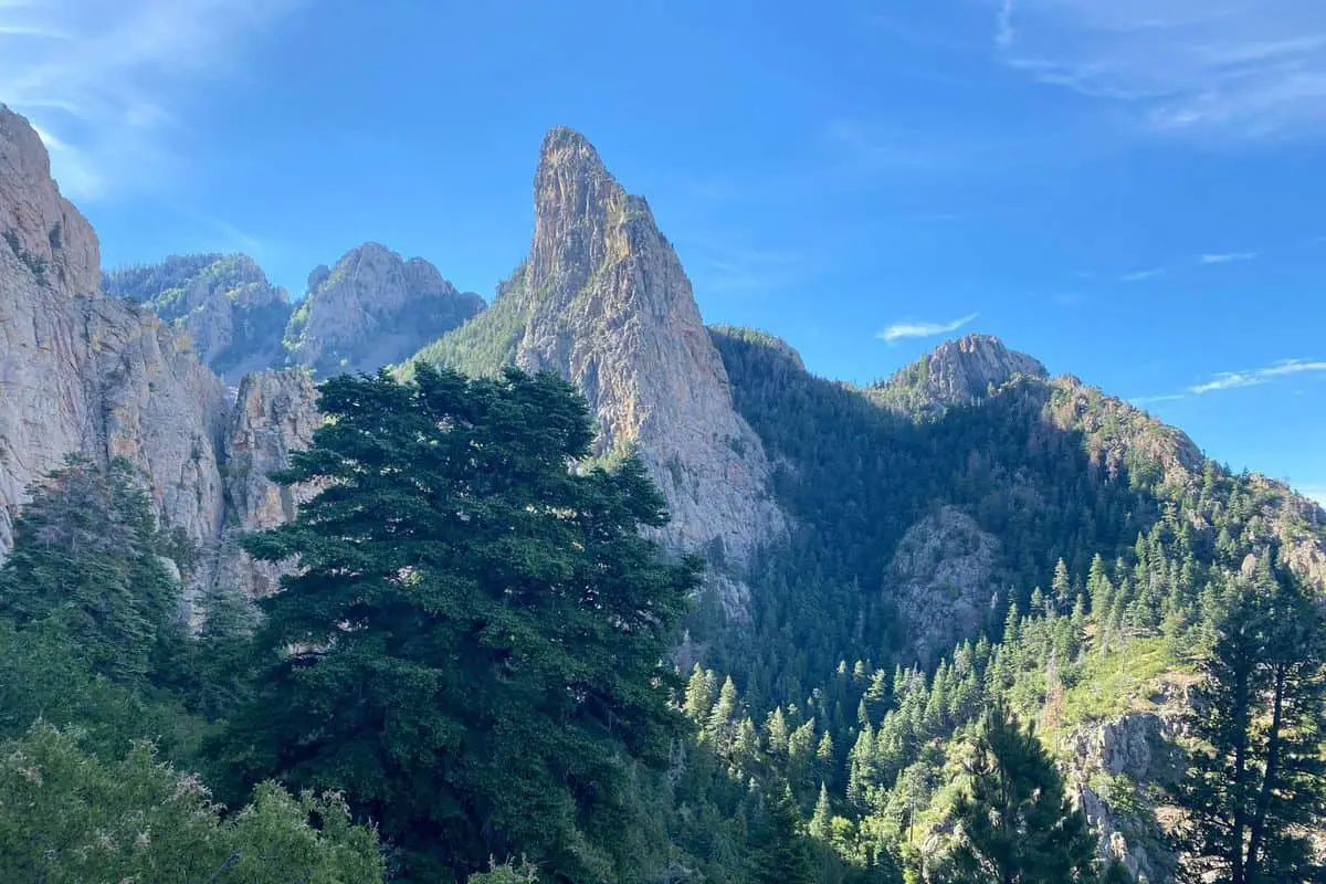 Cibola National Forest Boondocking Locations