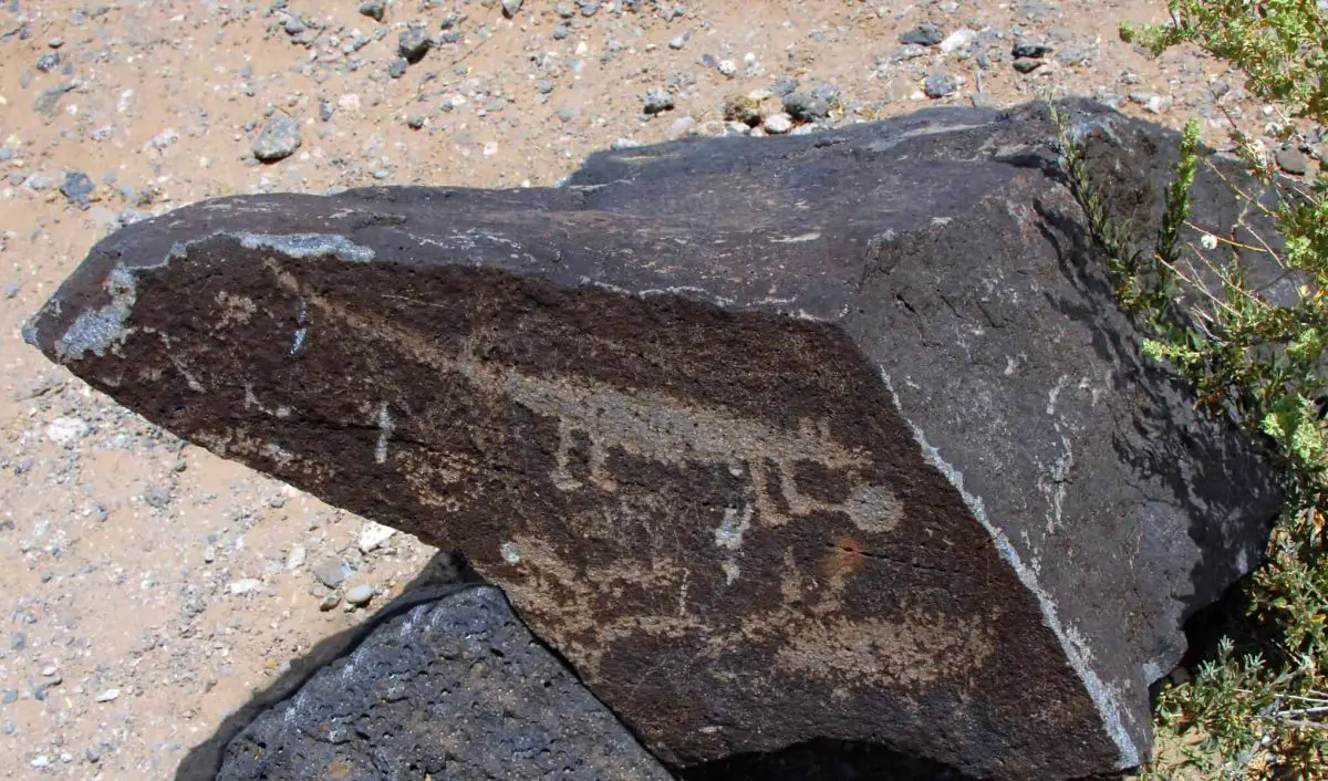 Dragonfly Trail Petroglyphs Boondocking Locations