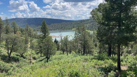 Lincoln National Forest Boondocking Locations